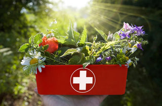Natural First Aid